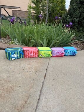 Trader Joe’s 2026 mini tote insulated bag